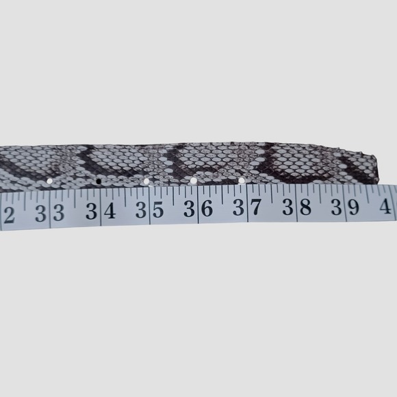 Florida Python Hand-Made in Italy Snakeskin Belt Solid Brass Buckle Brown Sz 34 main image 4